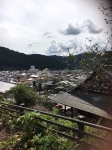 180608IMG_5...