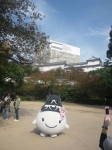 m-DSC_0152.jpg