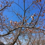 170404_sc_I...
