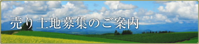 売土地無料査定フォーム